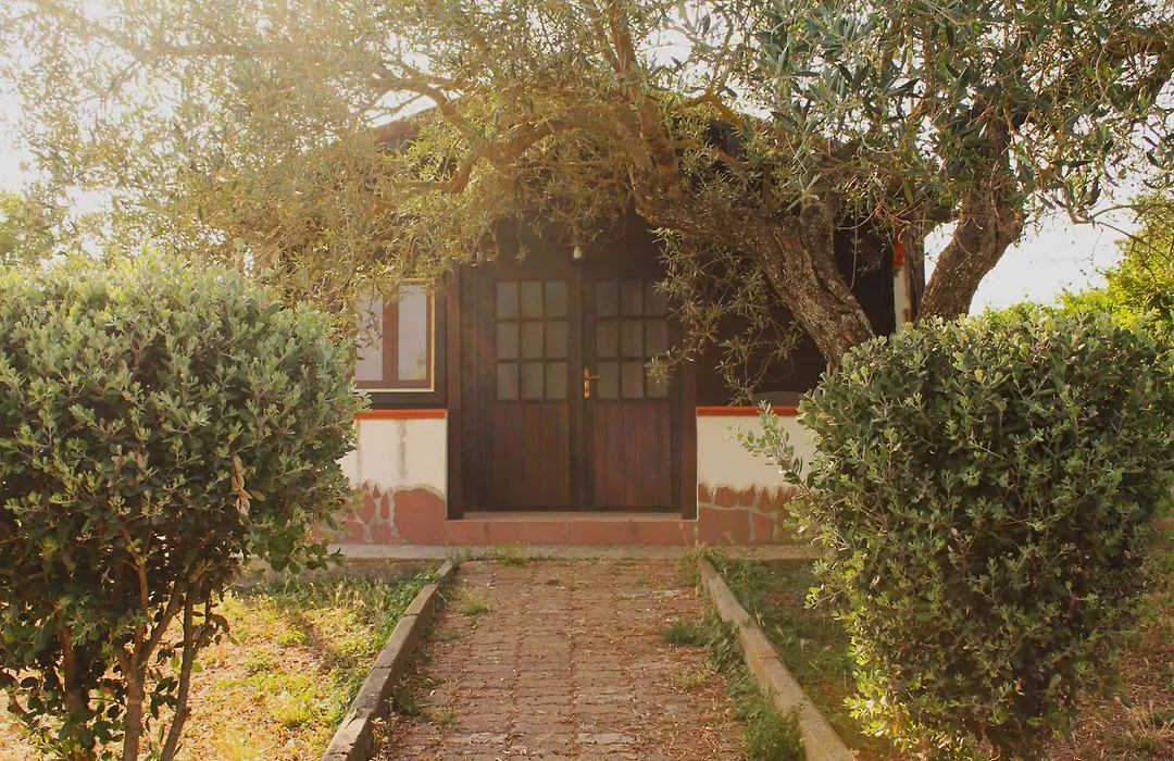Agriturismo Su Recreu-1