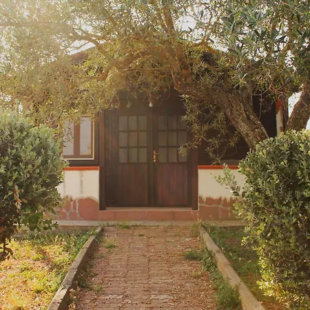 Agriturismo Su Recreu-3