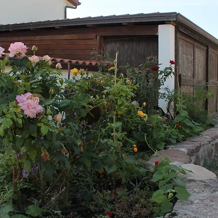 Agriturismo Su Recreu-2